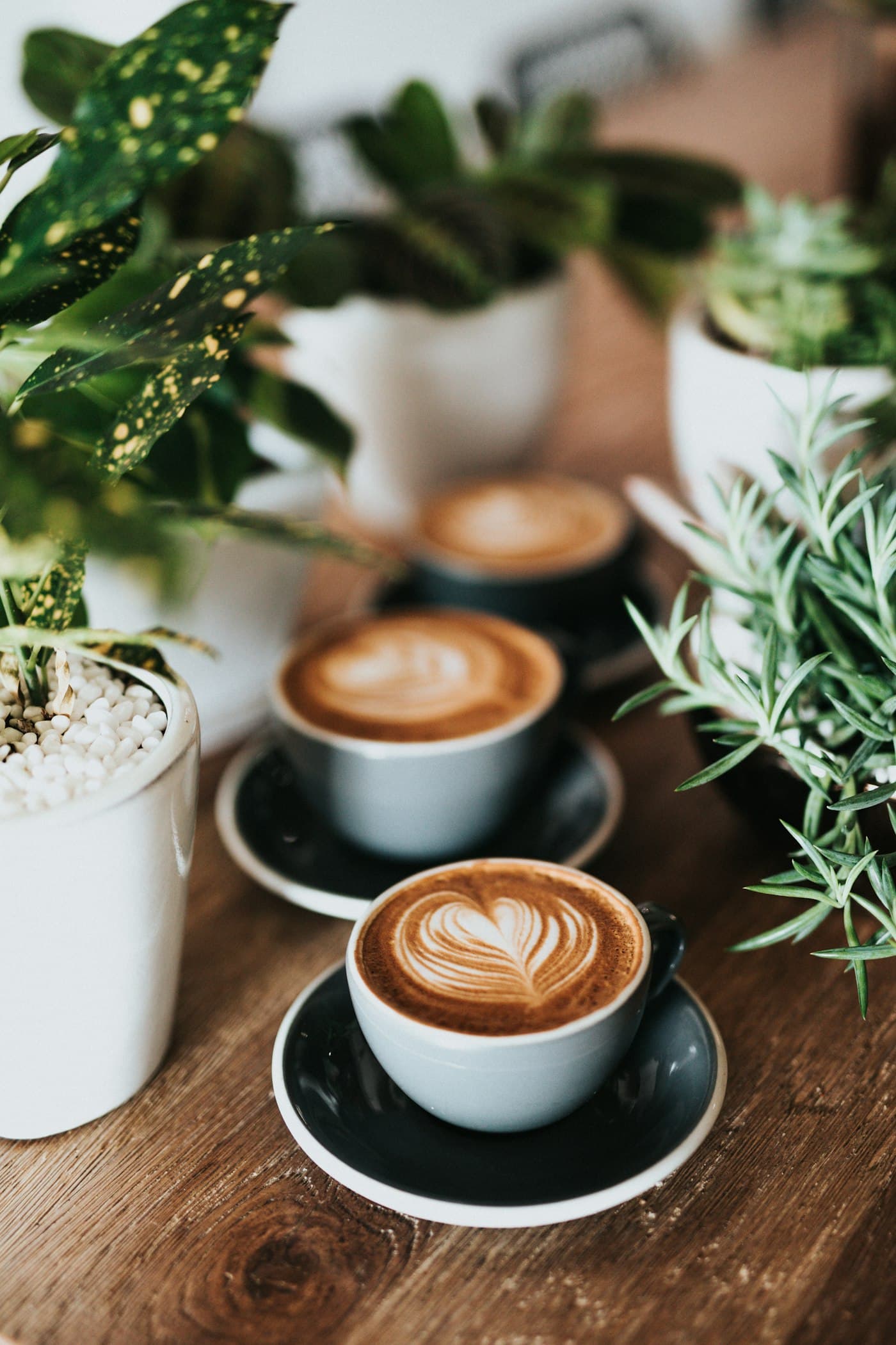 Milk being steamed beside an espresso machine on a kitchen counter